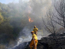 Soma'da 1.5 hektar makilik yandı