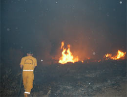 Bodrum'da korkutan orman yangını