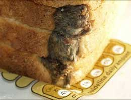 Ekmeğin içinden fare çıktı