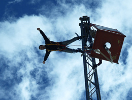 Erzincan'da bungee jumping atlayışı