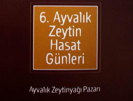 Ayvalık Zeytin Hasat Günleri başlıyor