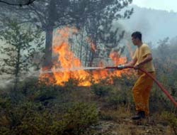 Samandağ'da 2 hektar orman kül oldu